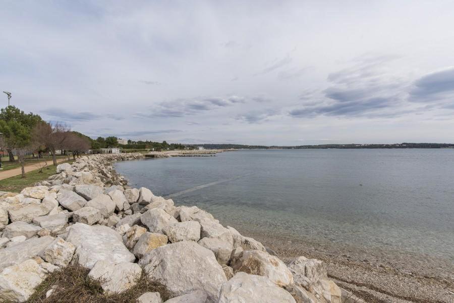 Apartment Zak Novigrad Istria Eksteriør bilde