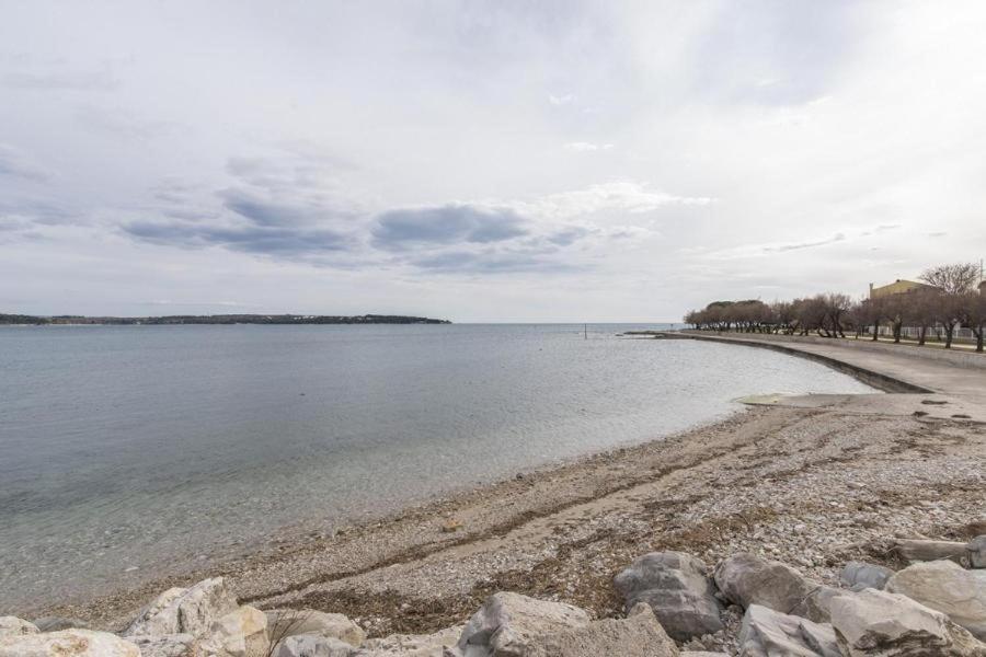 Apartment Zak Novigrad Istria Eksteriør bilde