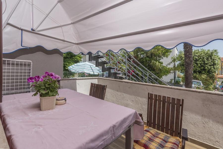 Apartment Zak Novigrad Istria Eksteriør bilde